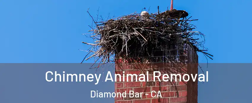 Chimney Animal Removal Diamond Bar - CA