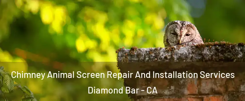  Chimney Animal Screen Repair And Installation Services Diamond Bar - CA
