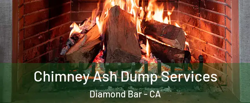  Chimney Ash Dump Services Diamond Bar - CA
