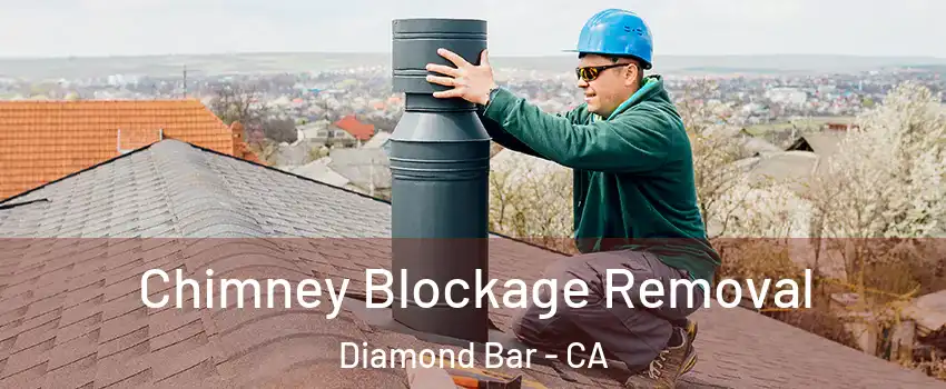  Chimney Blockage Removal Diamond Bar - CA