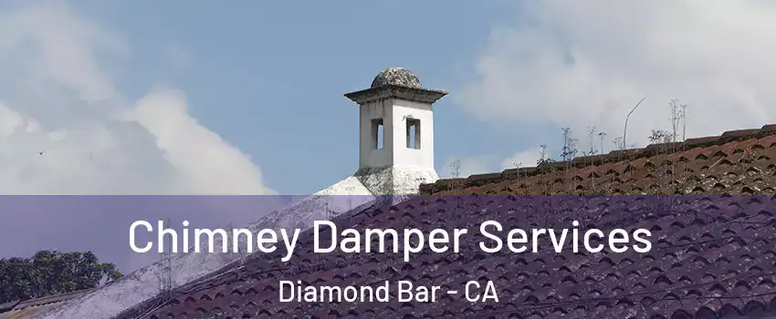  Chimney Damper Services Diamond Bar - CA