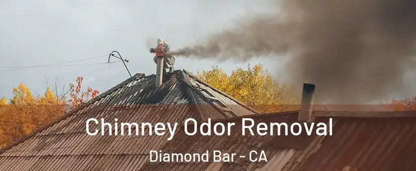  Chimney Odor Removal Diamond Bar - CA