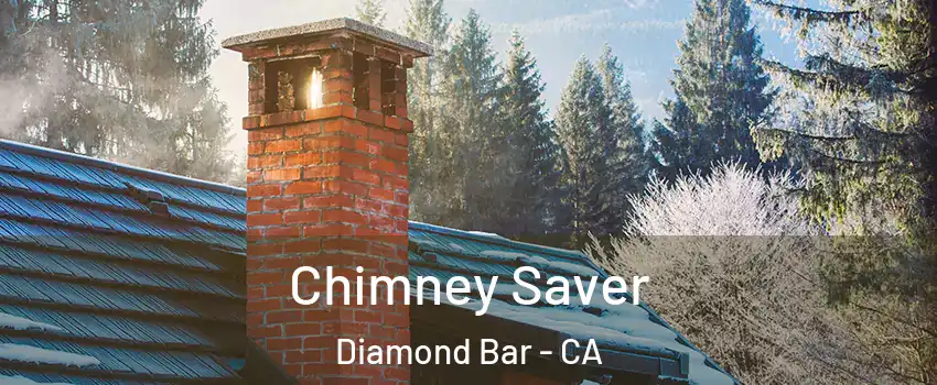  Chimney Saver Diamond Bar - CA