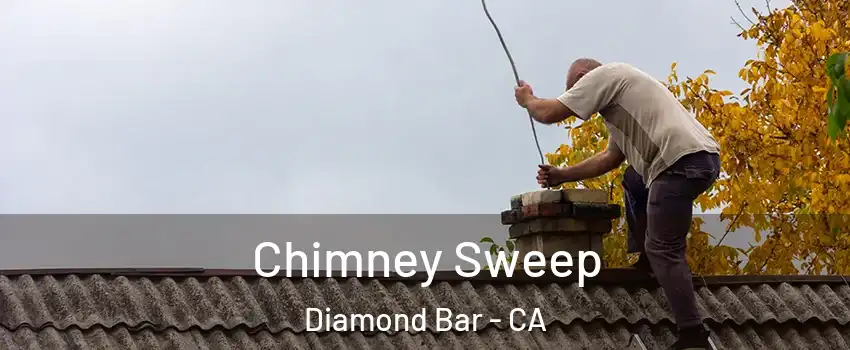  Chimney Sweep Diamond Bar - CA