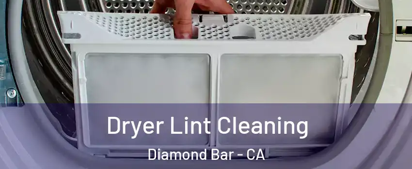  Dryer Lint Cleaning Diamond Bar - CA
