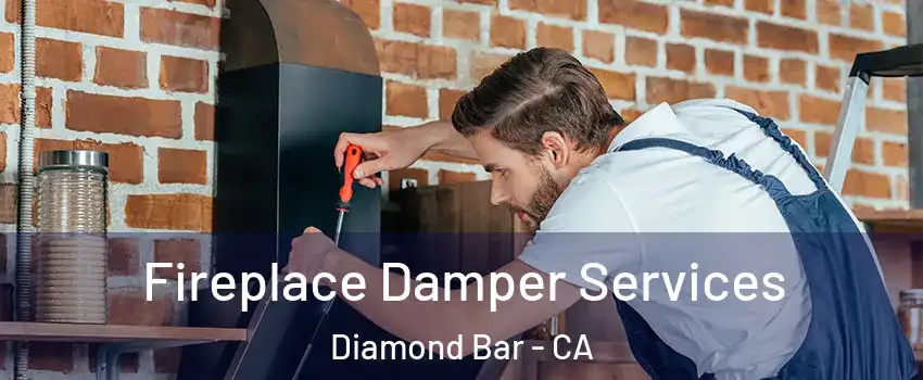  Fireplace Damper Services Diamond Bar - CA