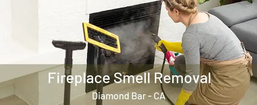  Fireplace Smell Removal Diamond Bar - CA
