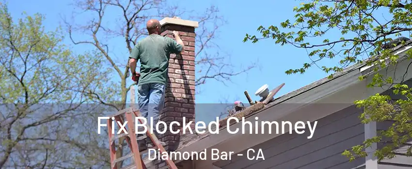  Fix Blocked Chimney Diamond Bar - CA