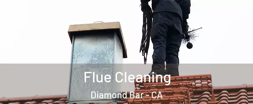  Flue Cleaning Diamond Bar - CA