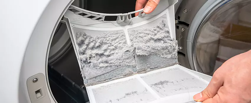 Best Dryer Lint Removal Company in Diamond Bar, California