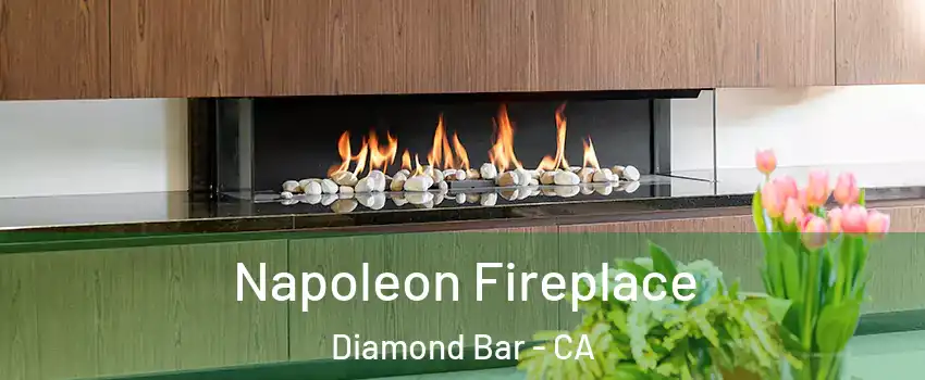  Napoleon Fireplace Diamond Bar - CA