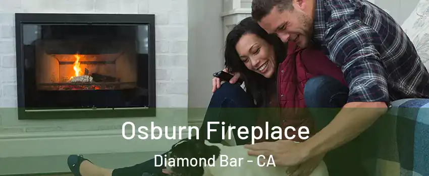  Osburn Fireplace Diamond Bar - CA